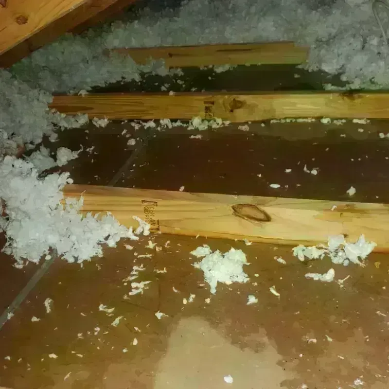 Attic Water Damage in San Rafael, CA